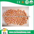 2013 best quality baisha peanut kernel with lowest price